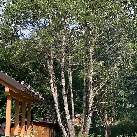 Angelo Chalet